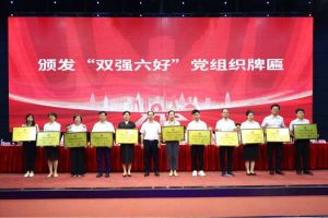 喜报！球友会（中国）集团党支部荣获广州市非公有制经济组织“双强六好”党