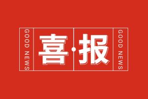 喜报！球友会（中国）集团党支部书记、总裁陈文舒荣登“2024人力资源服